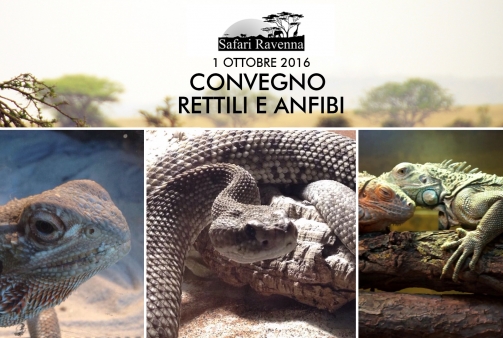 Convegno Anfibi e Rettili a Ravenna